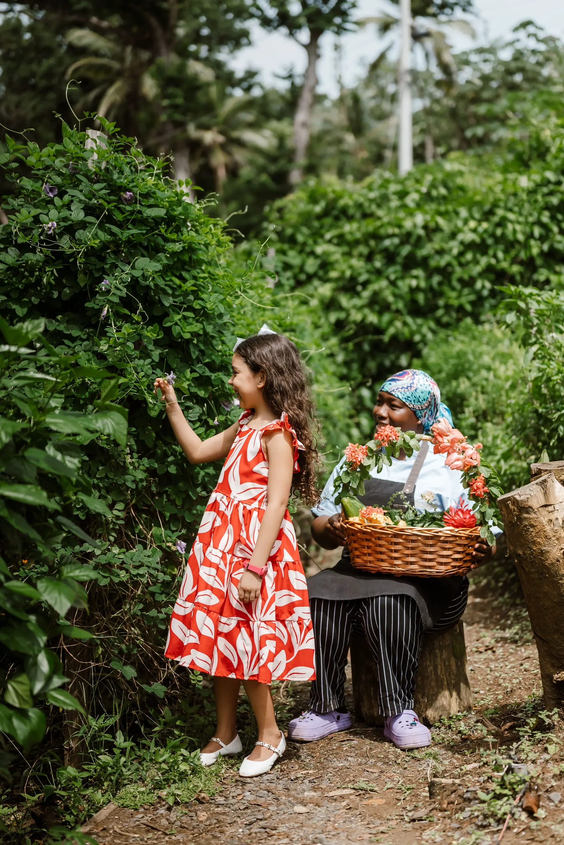FARM TO TABLE