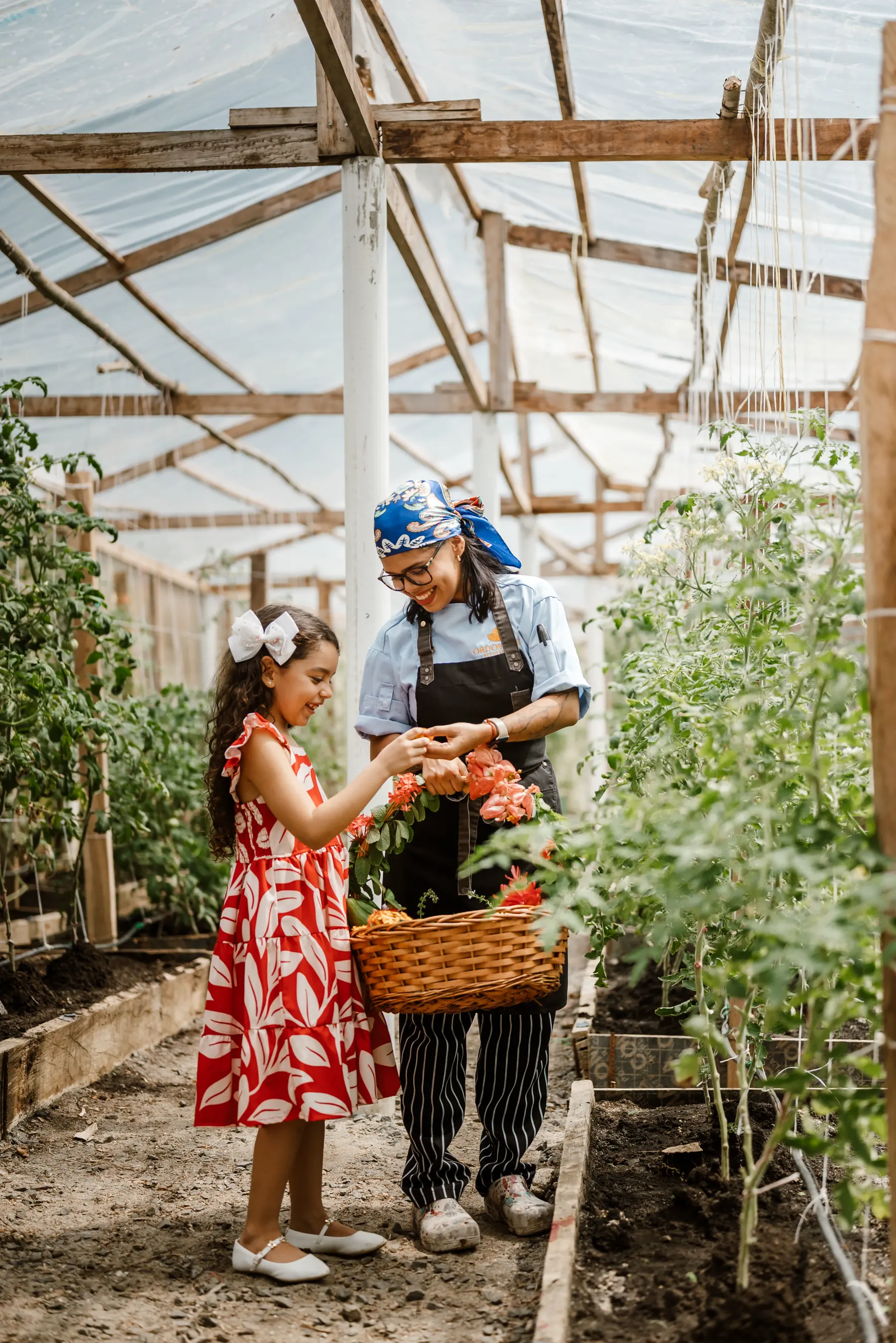 FARM TO TABLE