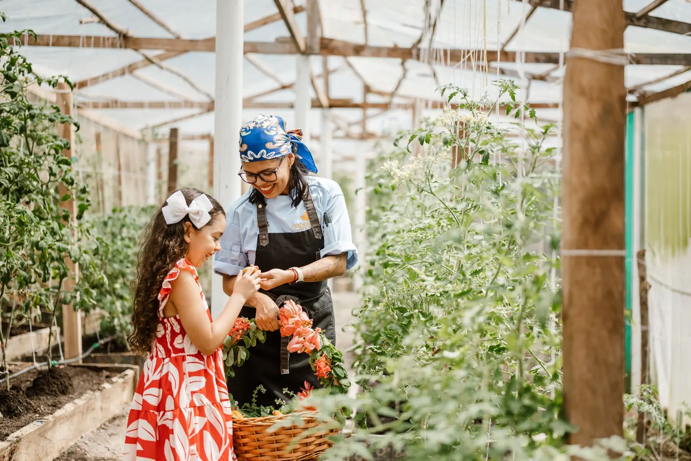 Chef’s Garden Discovery