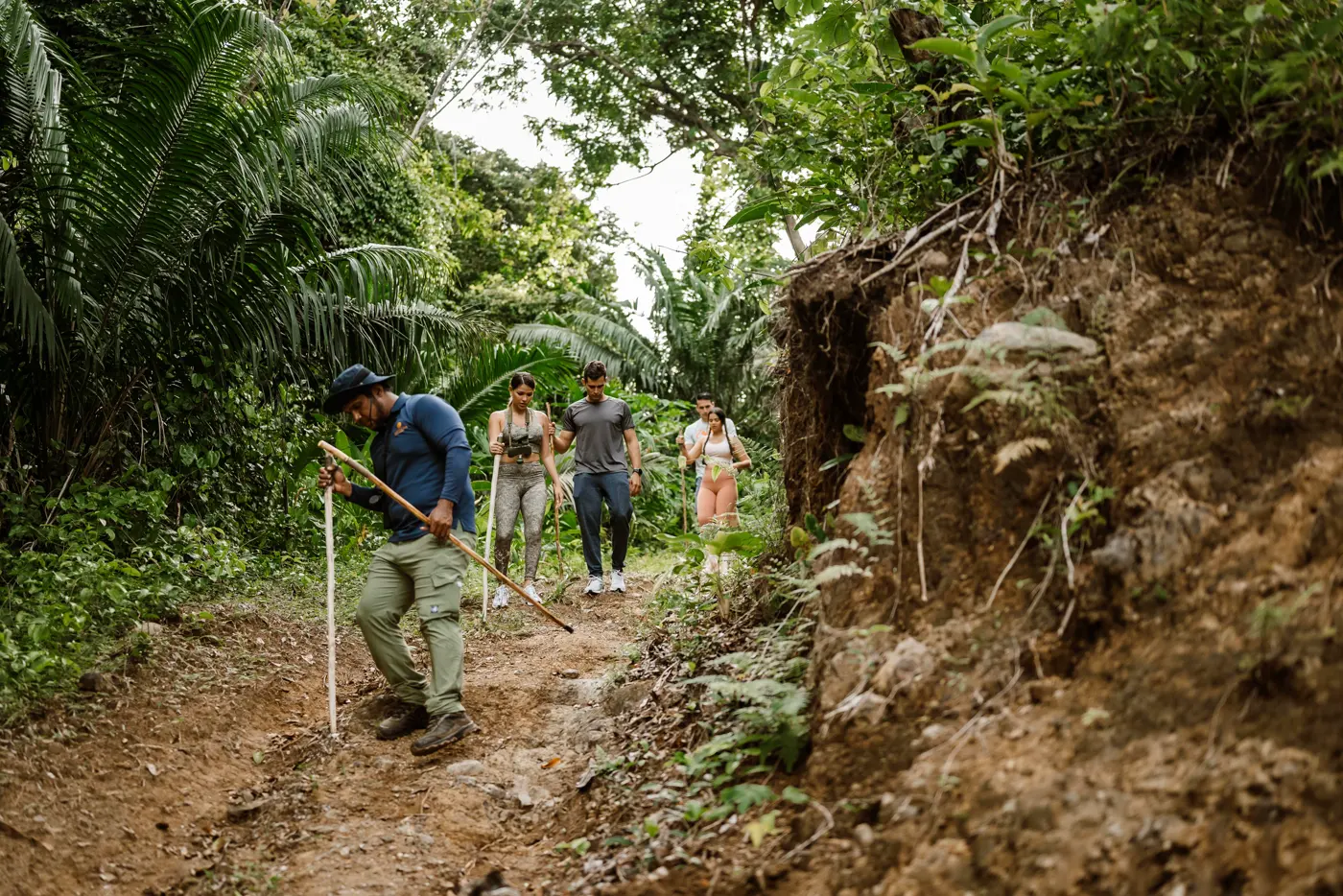 Jungle Immersion Walk
