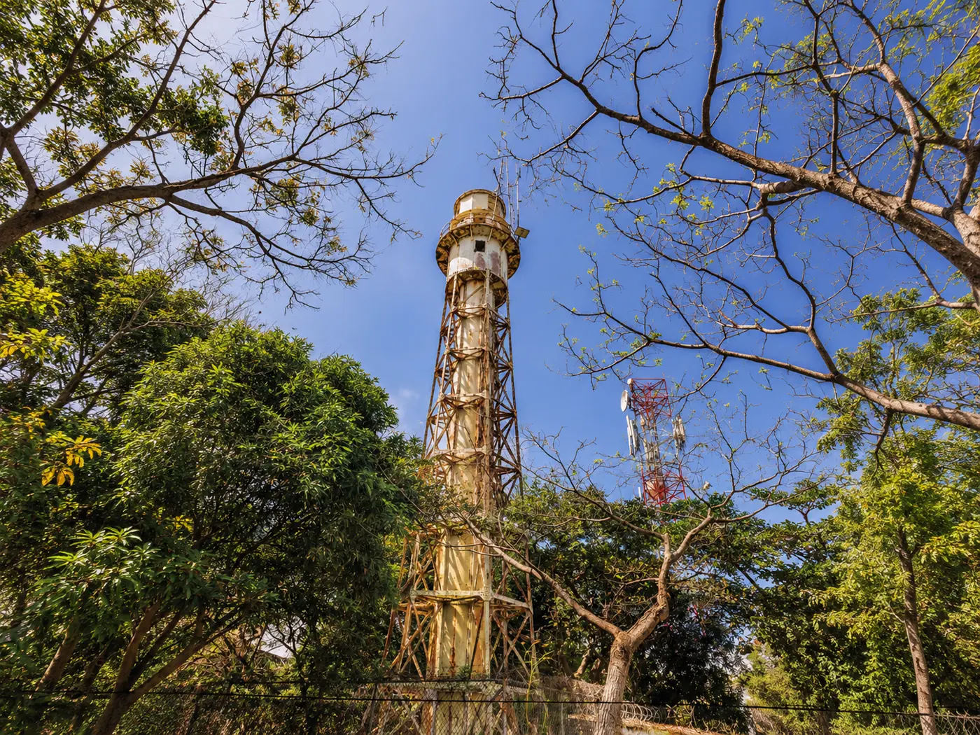 Lighthouse Heritage Walk