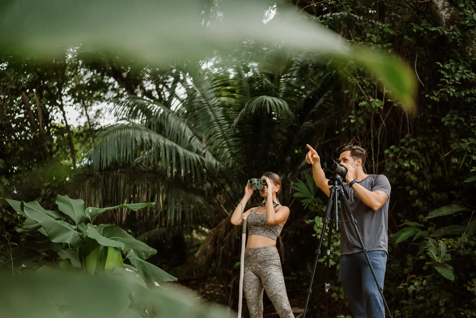 MACAW ENCOUNTER EXPERIENCE