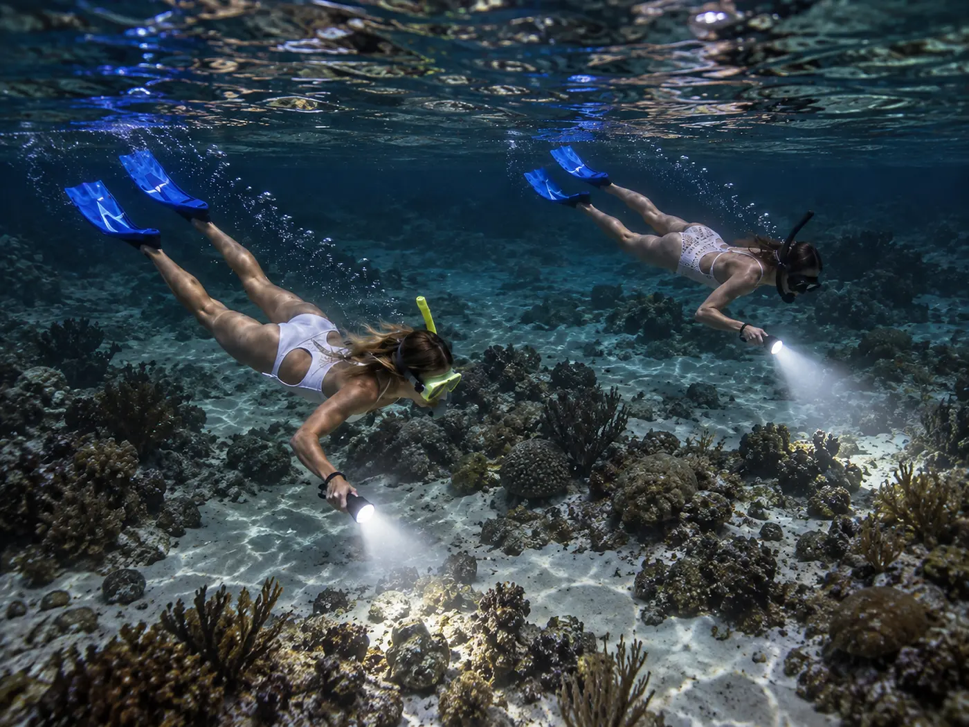 Moonlight Reef Experience