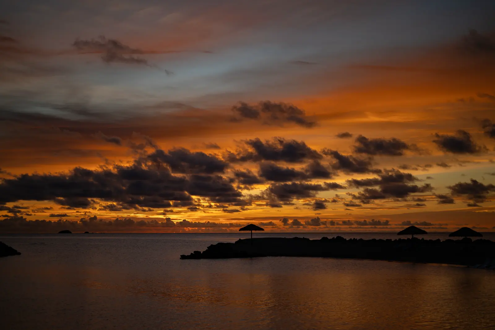MOONLIGHT REEF EXPERIENCE