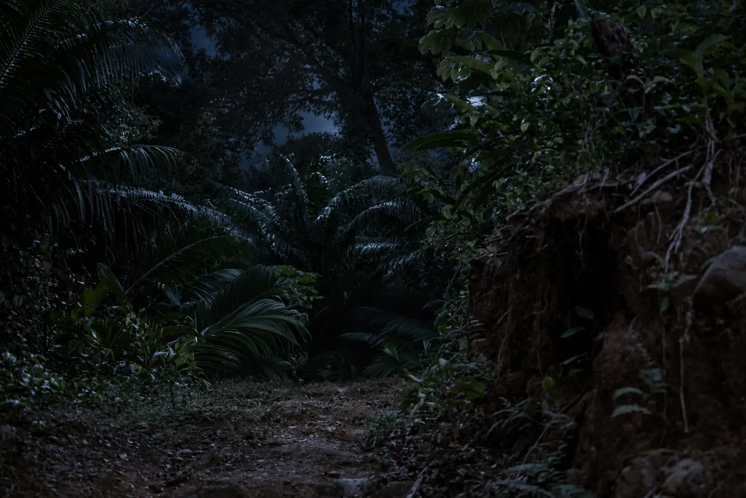 NOCTURNAL JUNGLE EXPERIENCE