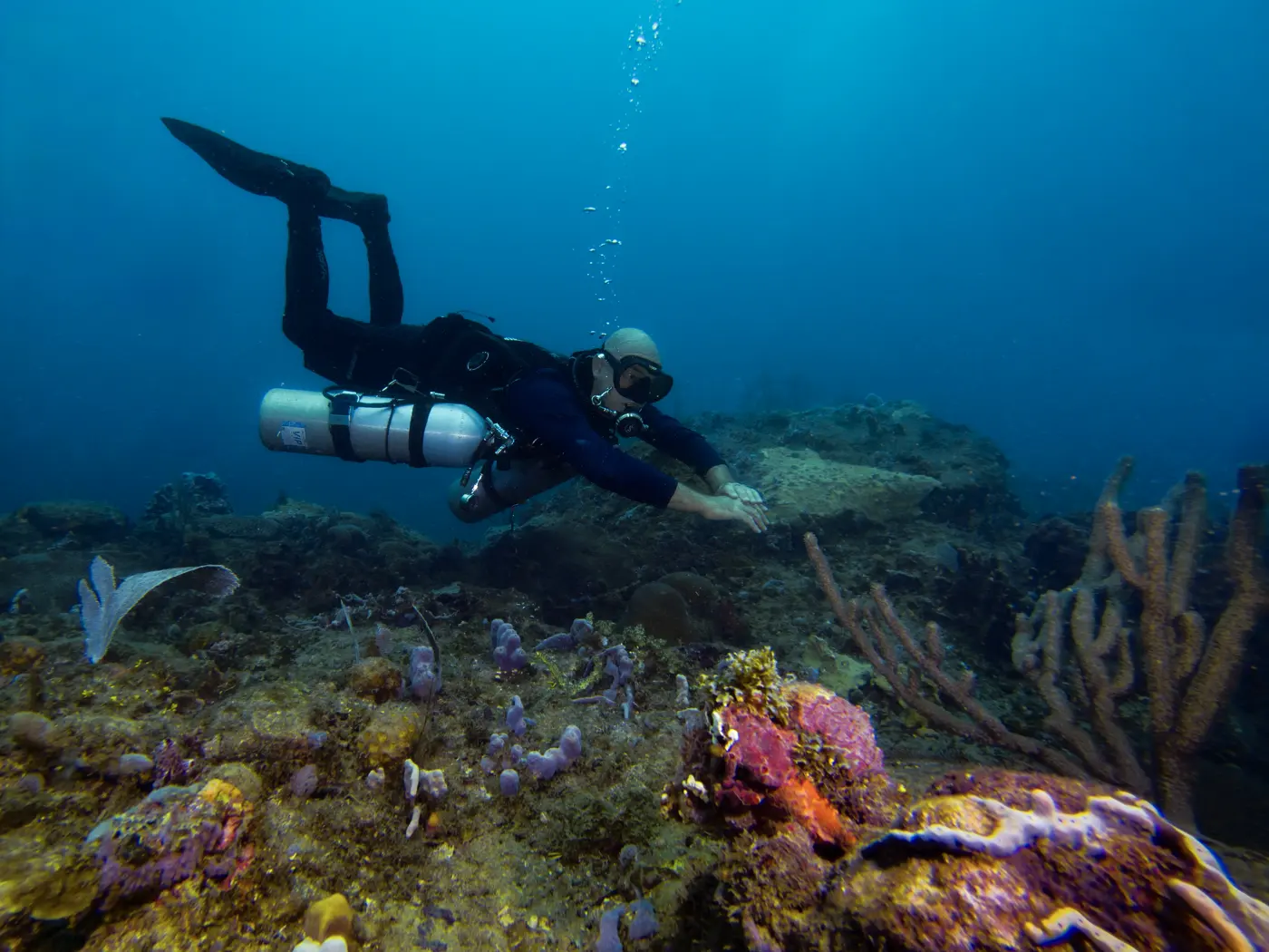 Scuba Diving & Dive Center