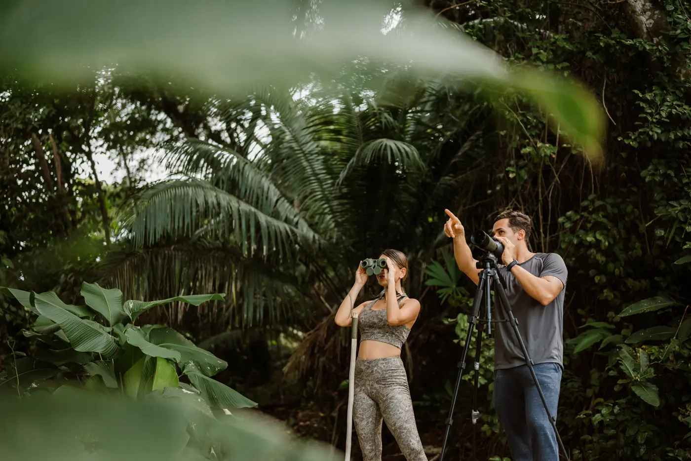 Tropical Bird Discovery